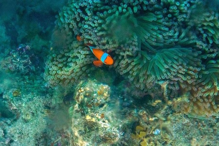 Island Hopping in Andaman